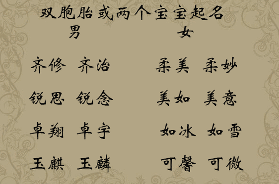 起名字双胎女孩名字 双胎女孩四字名字